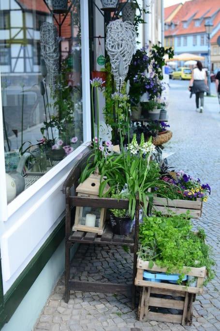 Schoene Ferienwohnung Mit Zwei Schlafzimmern Quedlinburg Eksteriør billede